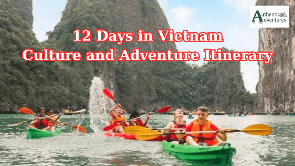 12-Day Vietnam Itinerary: Explore the Best of North to South - Ninh Binh and Ha Long Bay