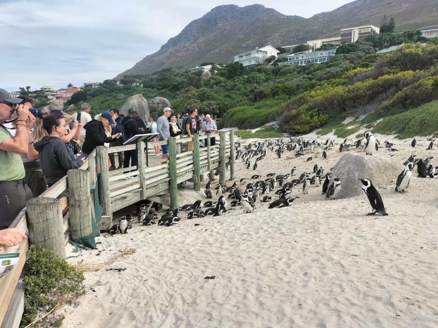 4-Days, Private Package Best of Cape Town - Exploring the Cape Peninsula