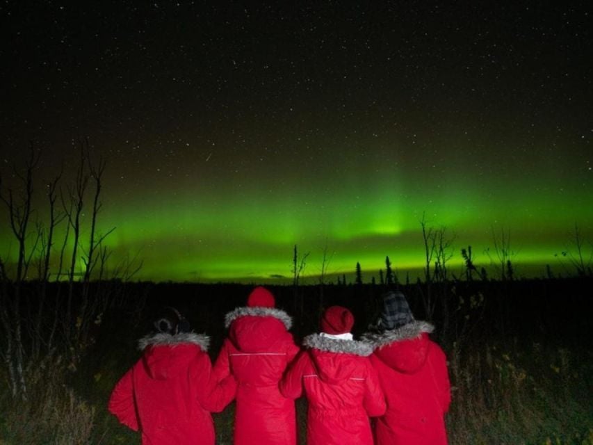 Anchorage: Nighttime Northern Lights Tour - Tour Highlights and Experience