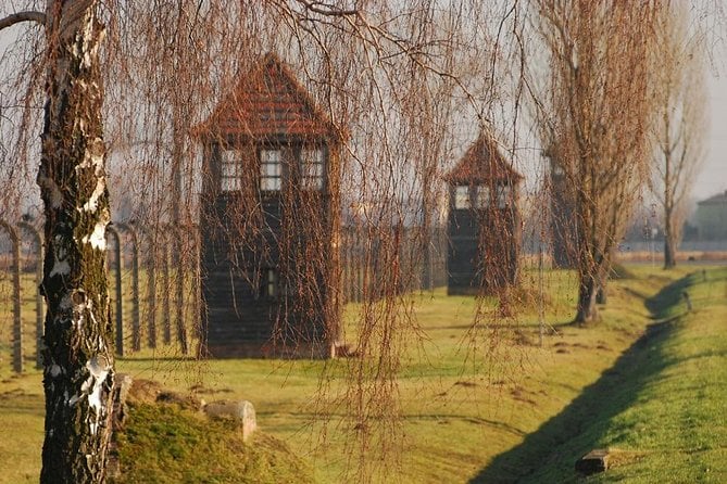 Auschwitz Guided Tour - Accessibility