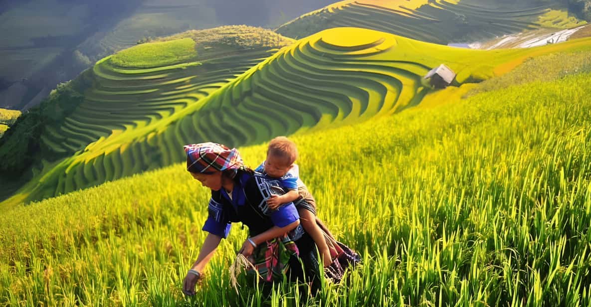 From Hanoi: Sapa 2 Days & Trekking To Local Village - Travel to Sapa and Cat Cat Village