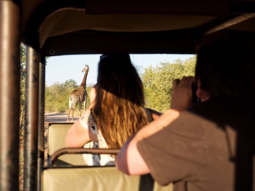 From Johannesburg: 3-Day Budget Kruger National Park Safari - Activity Highlights