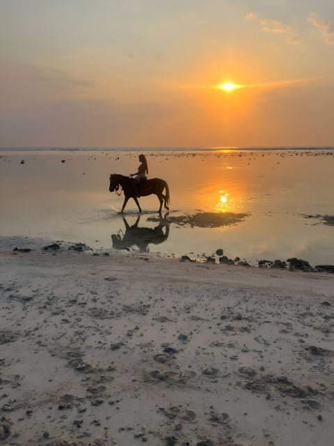 Horse Ride On The Beach on Gili Island - Experience and Itinerary