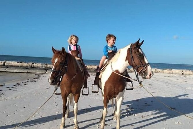 Horseback Riding on the Beaches of Holbox - Inclusions and Transportation