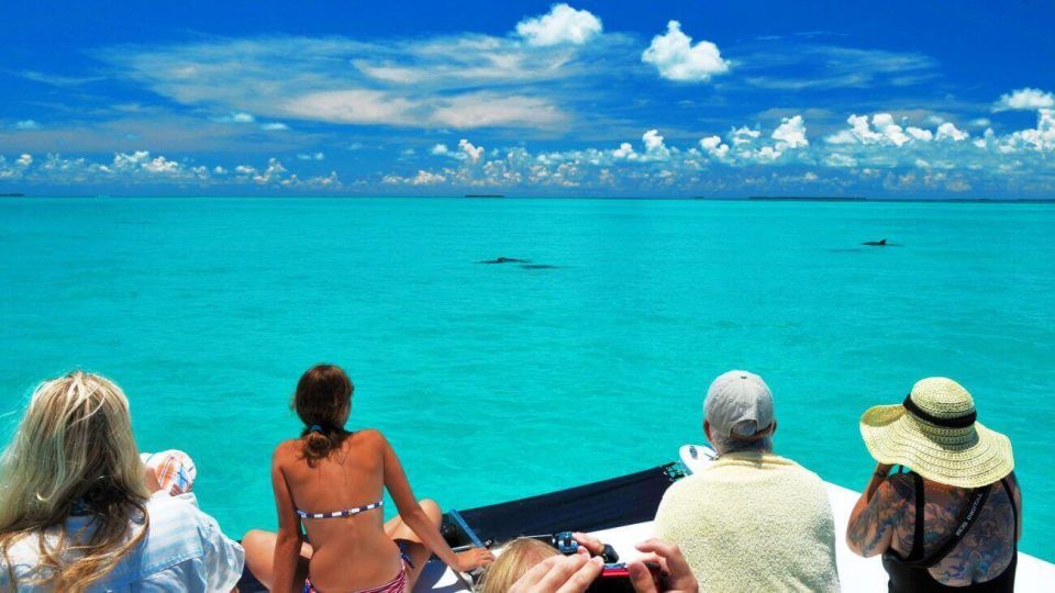 Key West: Dolphin Watching and Snorkeling Eco Cruise Tour - Highlights of the Tour