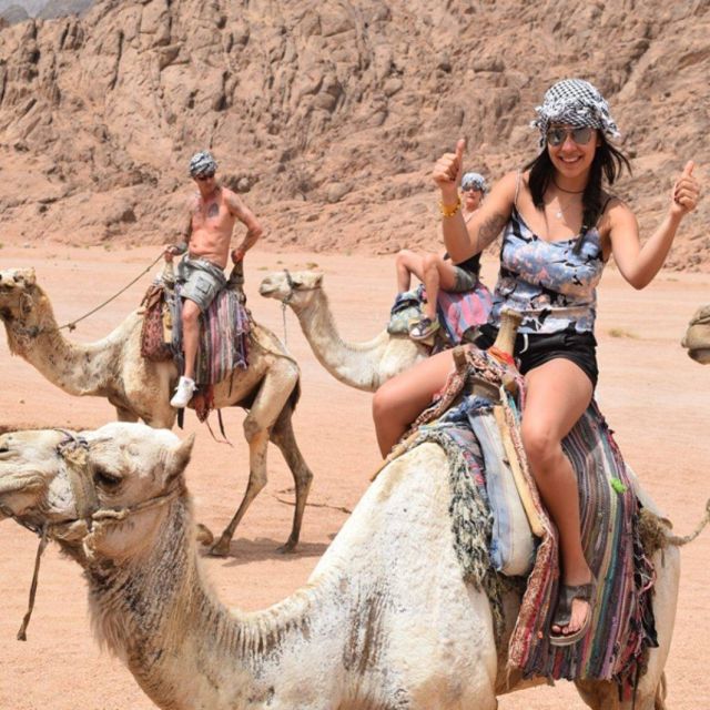 Marsa Alam: Desert Stargazing Tour With Camel Ride & Dinner - Itinerary Highlights