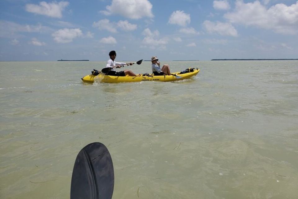 Miami: Everglades National Park Hiking And Kayaking Day Trip