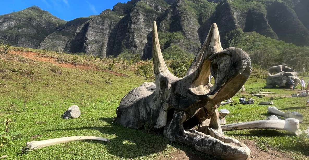 Oahu: Kualoa Movie Sites, Jungle, and Buffet Tour Package - Tour Highlights