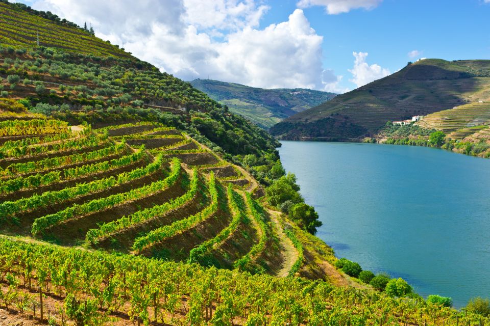 Porto: Douro Valley History & Wine Tour With Cruise & Lunch - Itinerary Highlights