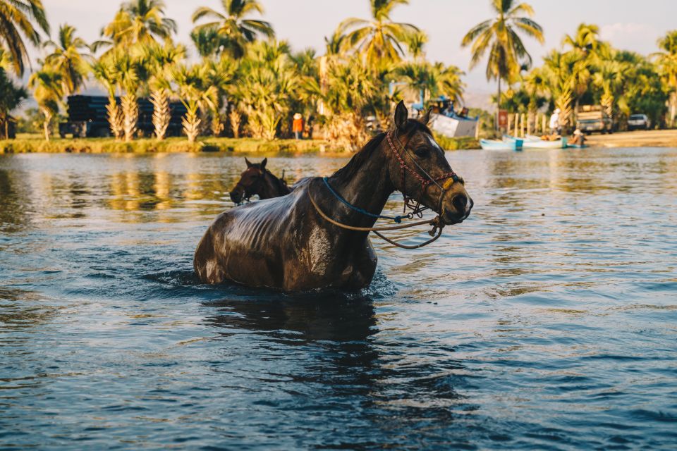 Puerto Escondido: Sunset Horse Riding Tour - Experience Highlights