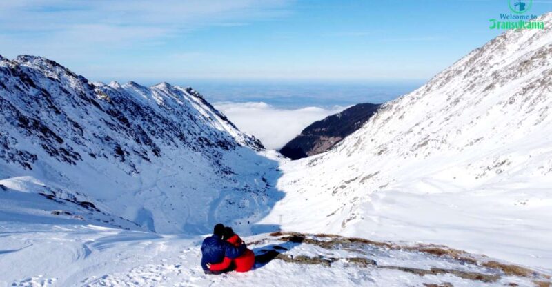 Transfagarasan Amazing Road Trip🐻 From Brasov - Experience Highlights