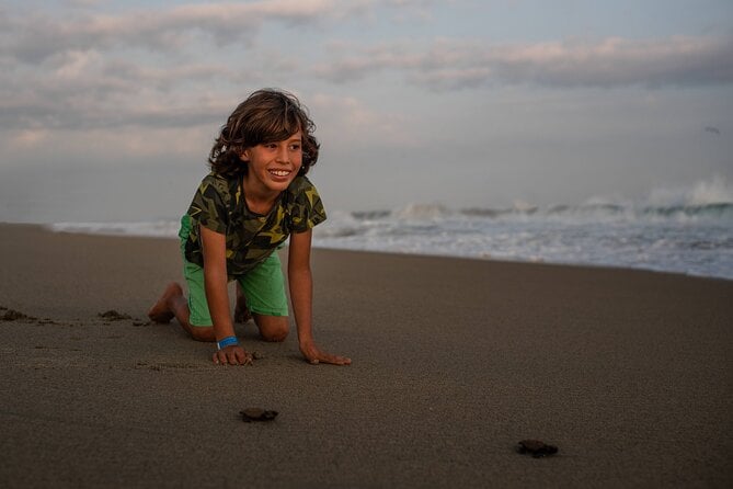 Unique Turtle Sanctuary & Sunset Experience - Inclusions and Transportation