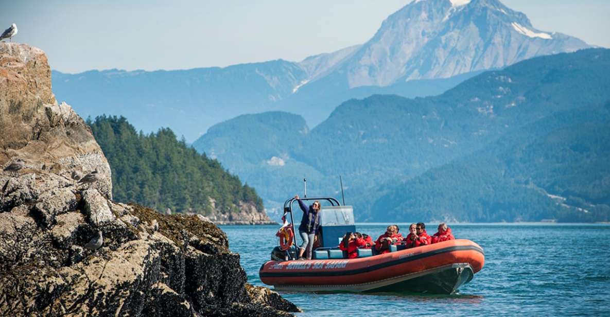 Vancouver: Howe Sound Fjords, Sea Caves & Wildlife Boat Tour - Experience Highlights