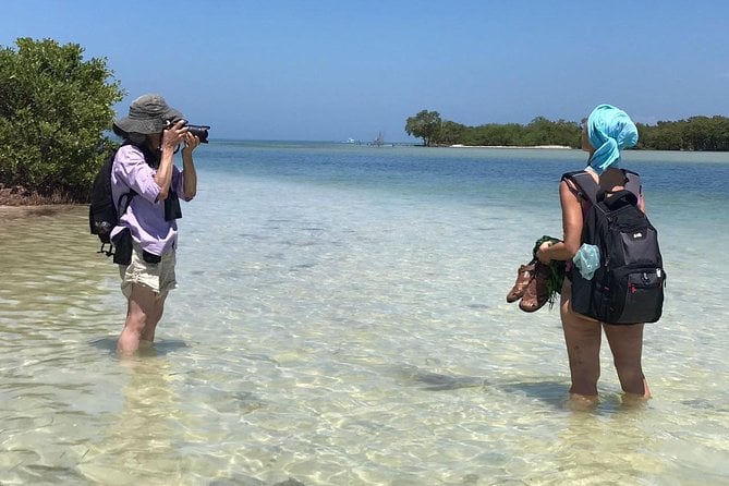 Classic 3-Island Tour on a Shared Boat - Health and Accessibility