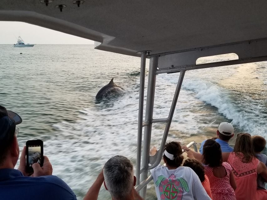 Destin: Dolphin Watch Cruise - Booking and Payment Options