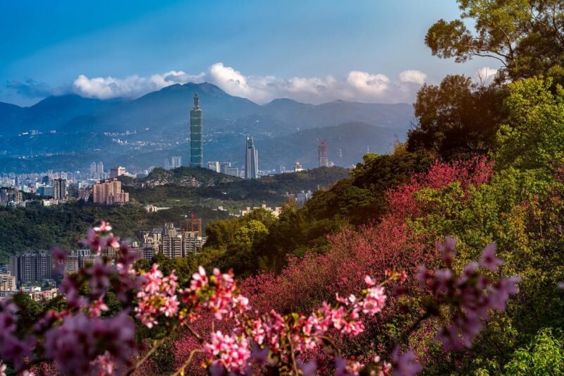 🚢 Keelung Cruisers Choice: VIP 8-Hr Taipei Urban Adventure - Pickup and Drop-off