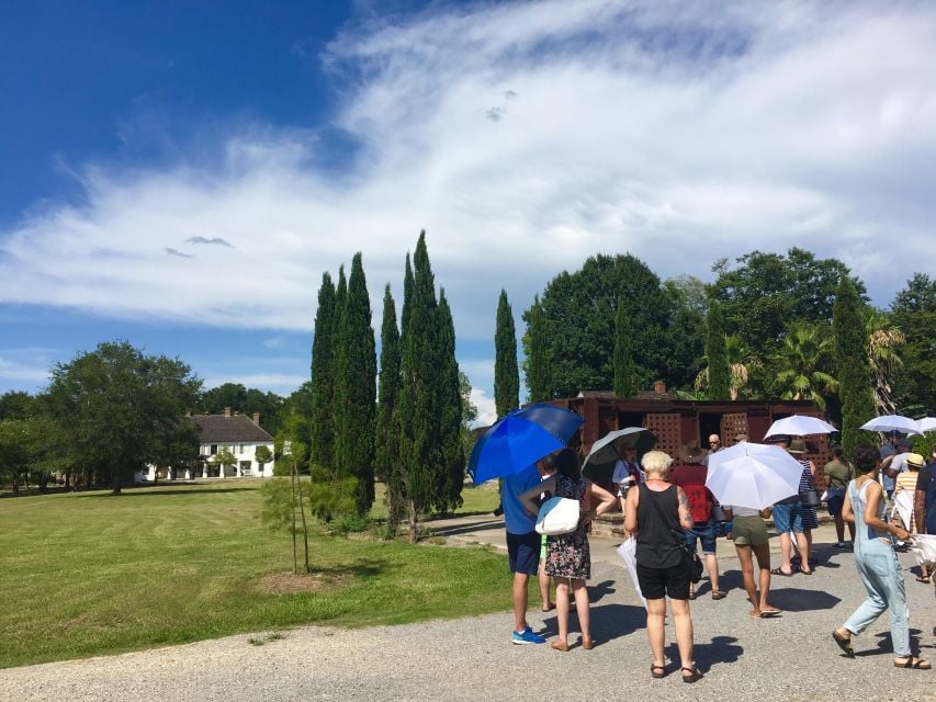 From New Orleans: Whitney and Laura Guided Plantation Tour - Plantation Experiences