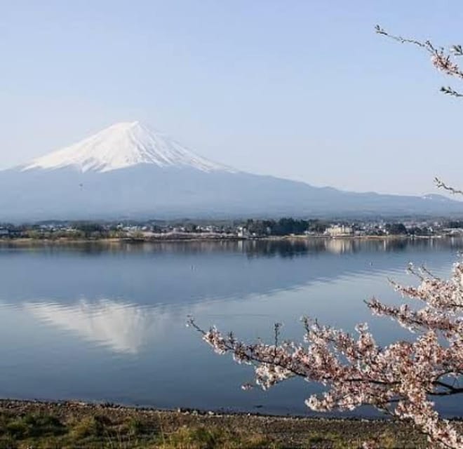 From Tokyo: Mount Fuji Day Trip - Iconic Mountain Views