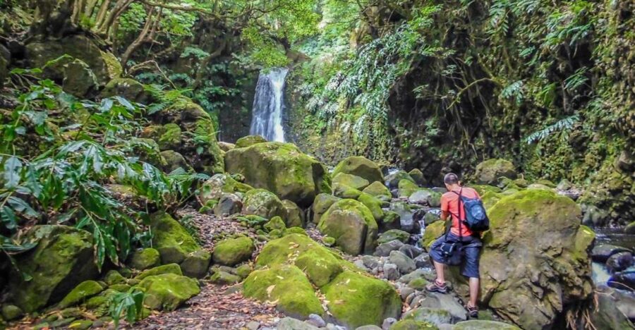 Full-Day Faial Da Terra + Nordeste From Ponta Delgada