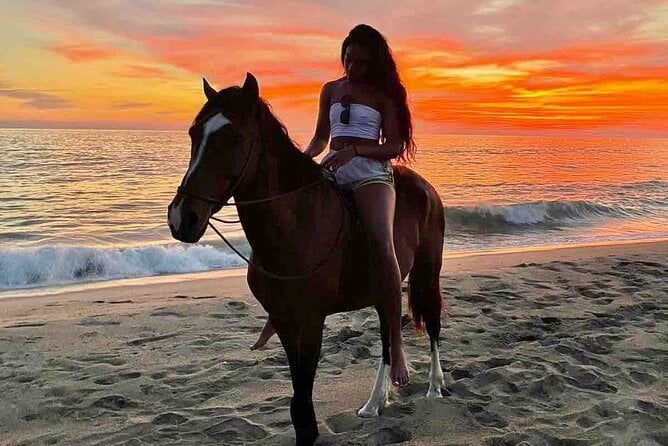 Horseback Riding on the Beaches of Holbox - Booking Information