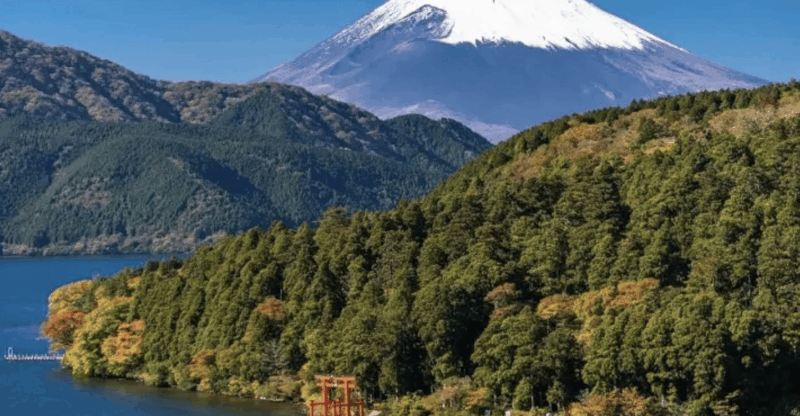 [INPUT TEXT TRANSLATED INTO ENGLISH]:【Muslim Friendly】 Hakone 1-Day Private Tour - Sightseeing Spots