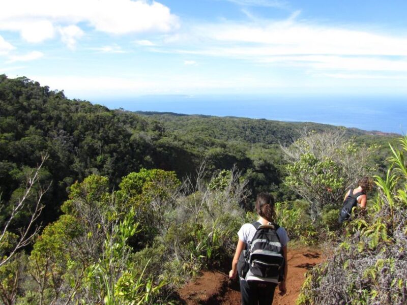 Kauai: Full-Day Kauaʻi Adventure - Inclusion and Safety
