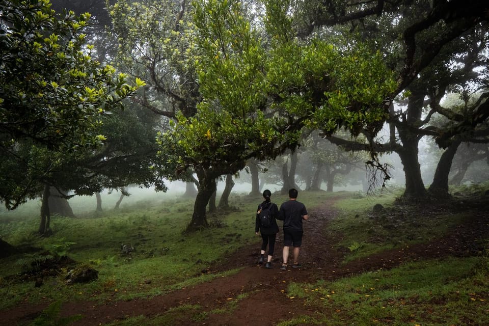 Madeira : Full Day Adult-Only West 4x4 Tour - Exploring Cliffs and Valleys