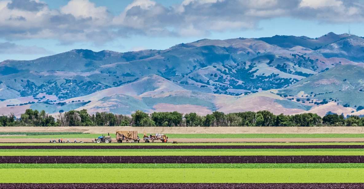 Monterey County Salinas Valley Farm Tour - Transportation and Accessibility