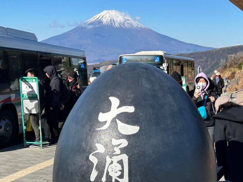 Mt.Fuji&Hakone Tour, Tokyo/Yokohama ⇒ Tokyo, 2-4 Guests - Traveler Information