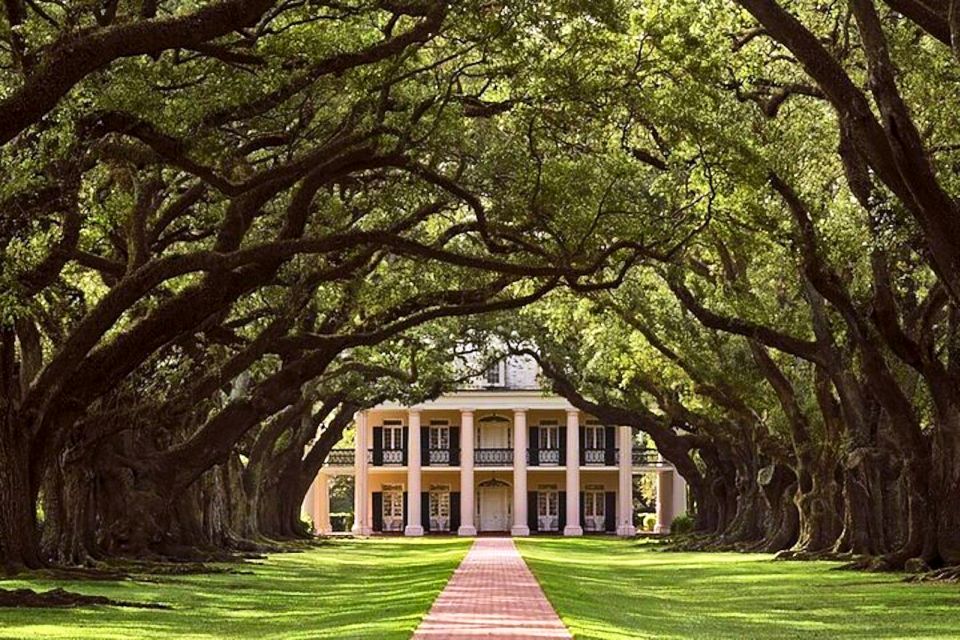 New Orleans: Swamp Boat Ride and Historic Plantation Tour - Swamp Boat Ride