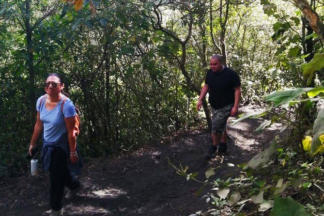 Pacaya Volcano Tour and Hot Springs From Guatemala City