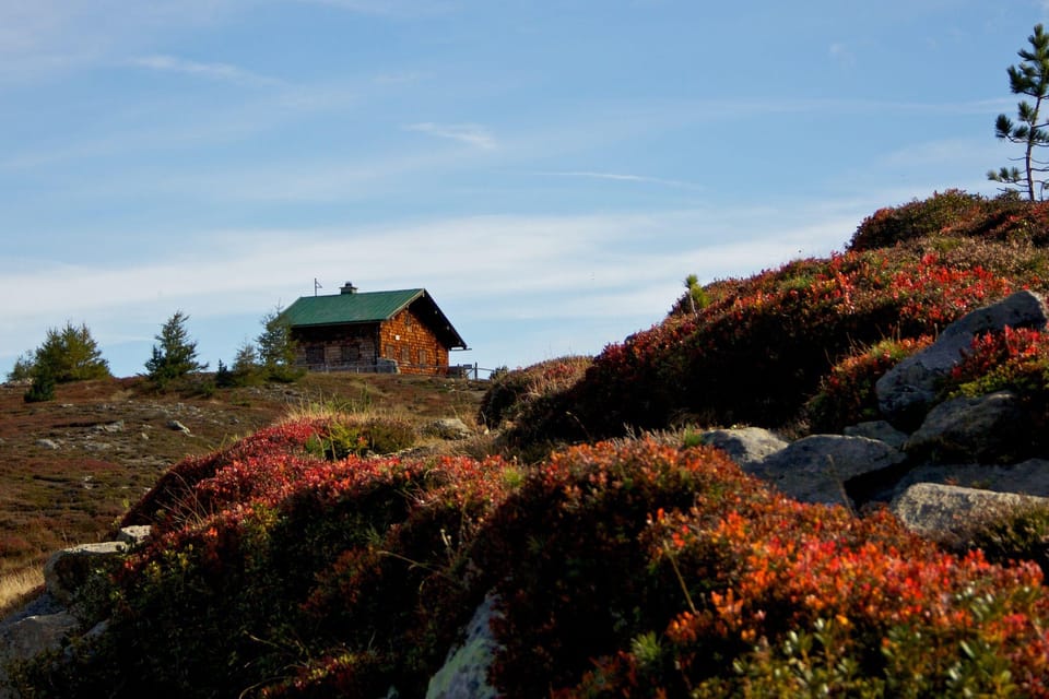 Patscherkofel: Zirbenweg to Glungezer* - Itinerary Details