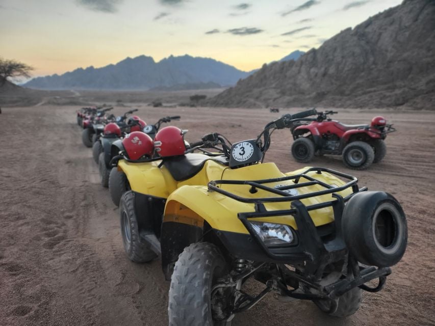 Sharm El Sheikh: Atv, Bedouin Tent With BBQ Dinner and Show - Itinerary Details