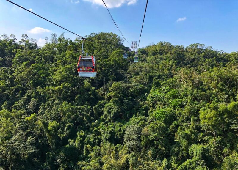 Sip & Savor: 🚠 Maokong Tea & Shenkeng Tofu Private Day Tour - Gondola Ride