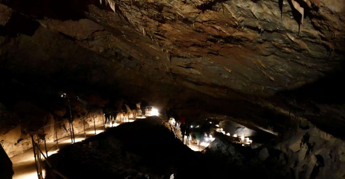 Skocjan Cave Day Tour From Ljubljana - Transportation and Logistics