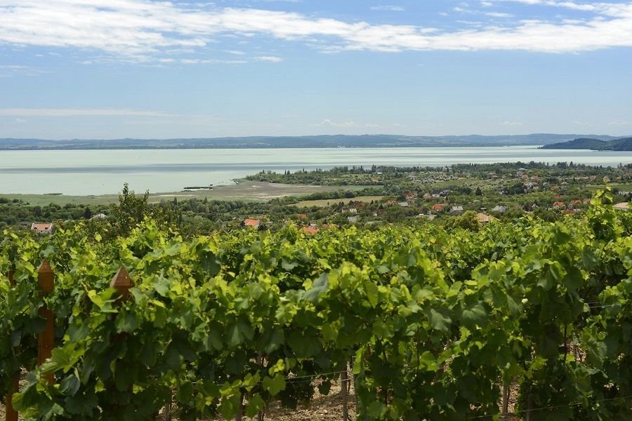 The Turquoise Sea of Hungary: Lake Balaton Private Tour - Transportation and Guide