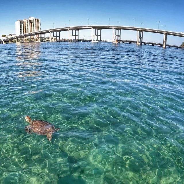 West Palm Beach: Private Peanut Island Boat & Snorkel Tour - Pickup and Drop-off Locations