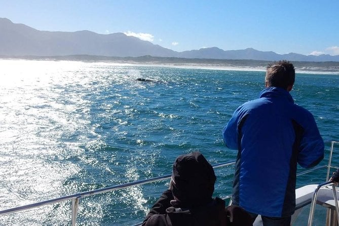 Whale Watching Hermanus - Boat Base - Transportation and Pickup Logistics