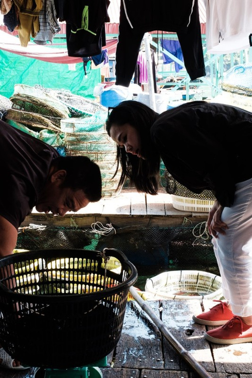 3D2N Venturing Into Cat Ba Archipelagos Wildlife - Overview and Pricing