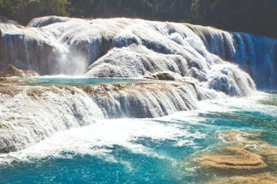 Chiapas: Agua Azul, Misol-Ha & Palenque Tour - Tour Language