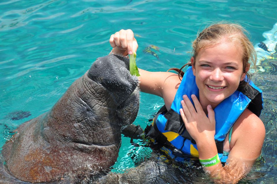 Cozumel: Manatee Encounter With Chankanaab Park Entrance - Frequently Asked Questions