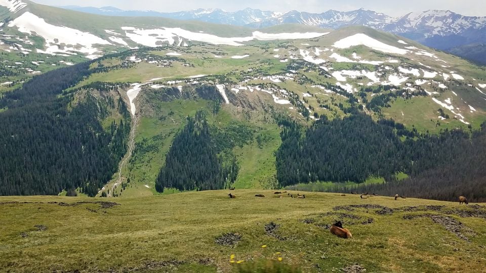 Denver: Rocky Mountain National Park Tour With Picnic Lunch - Logistics and Recommendations