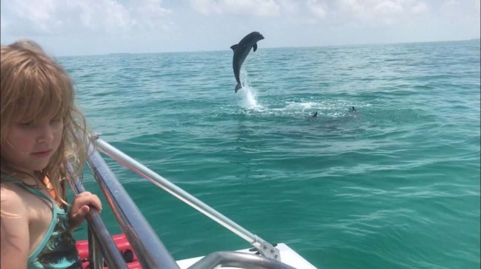 Destin: Dolphin Watch Cruise - Meeting Point and Directions