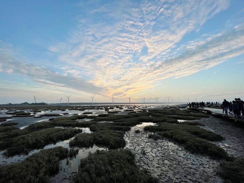 Discover Taichung: Private Day Tour From Taipei 🌅 - Gaomei Wetland Preservation Area