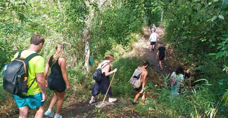 Enchanting Jungle Full-Day Trekking in Chiang Mai