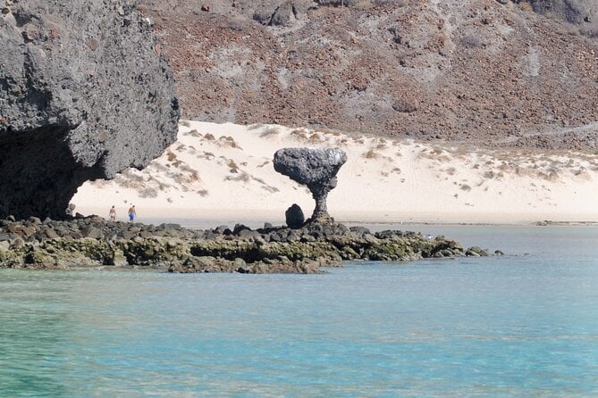 Espiritu Santo Island Tour - Booking Information