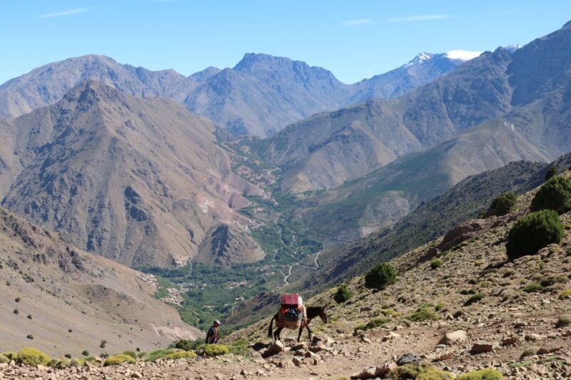 Excursion to Atlas Mountains ،& Agafay Desert Camel Ride - Languages and Group Options