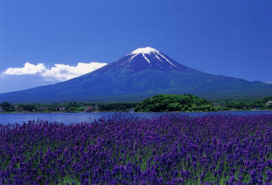 From Tokyo: Mount Fuji Day Trip - Flexible Schedule Highlights