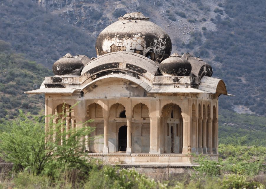 Guided Day Trip to Abhaneri & Haunted Bhangarh From Jaipur - Tour Inclusions