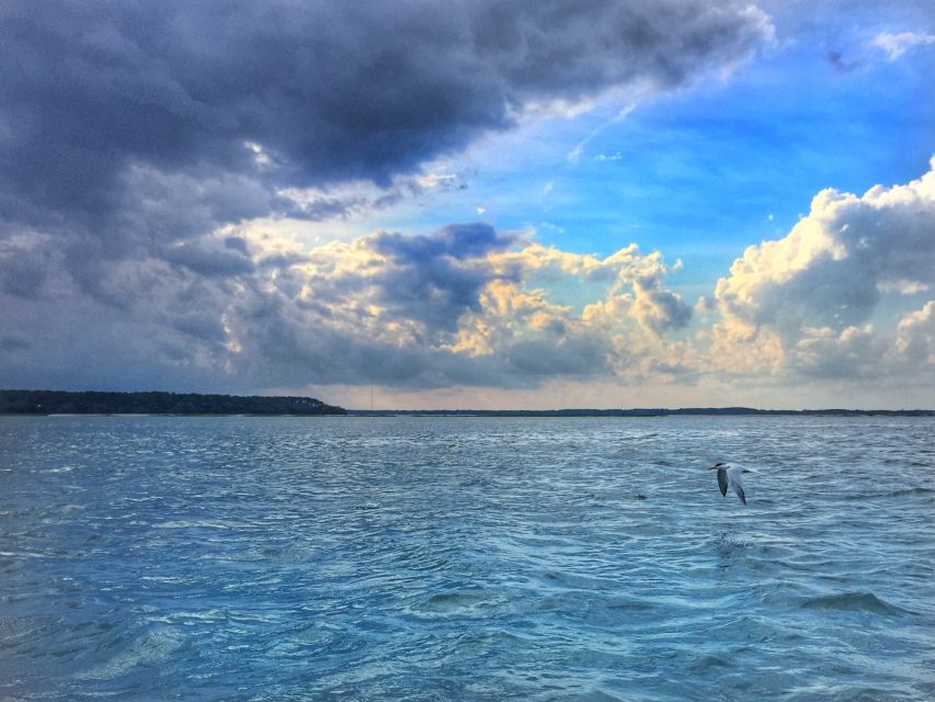 Hilton Head Island: 2-Hour Guided Creek Cat Tour - Booking and Cancellation